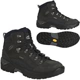Lowa Renegade GTX Mid Hiking Boot - Men's