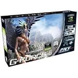 PNY GeForce 6200 256MB Low Profile AGP Graphics Card VCG62256AWB-LP
