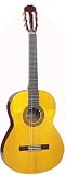 Takamine G124 Classical Guitar
