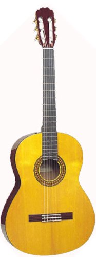 Childrens Toyshop  Musical Instruments : Takamine G124 Classical Guitar