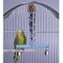 Spray Millet Holder with Bells