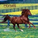 Horses 2008 Mini Wall Calendar - Animal Calendars