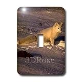 3dRose LLC