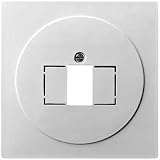 Gira Zentralplatte TAE rws 027640