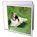 Dogs German Shepherd - German Shepherd - Greeting Cards-12 Greeting Cards with envelopes