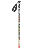 Scott USA Punisher Trekking Pole