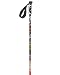 Scott USA Punisher Trekking Pole