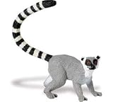 Safari: Lemur