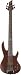 Musical Instruments : ESP LTD D5 5-String Electric Bass (Natural Satin)