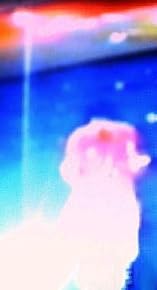 Image of Okus Dolphin