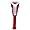 Arkansas Razorbacks