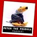 PETER GOTTA PEAGULL * MEANIES * Series 1 Bean Bag Plush Toy From The Idea Factory