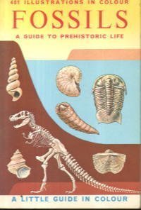Fossils (Little Guides in Colour)