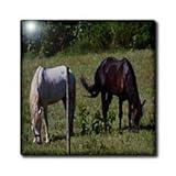 Horses Grazing Oil Painting - 12 Inch Ceramic Tile