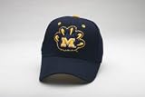 Michigan Wolverines DHS Logo P