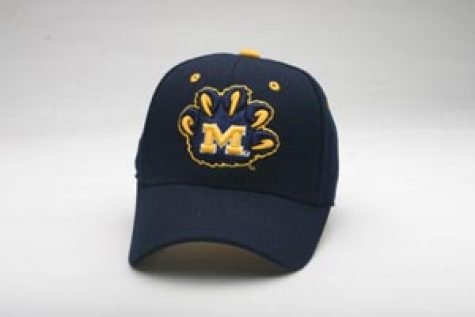 Michigan Wolverines DHS Logo P