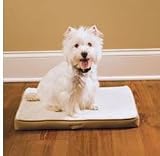 Small PetSafe Stay! Mat The Wireless Crate
