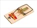 STV Mouse Traps pack of 4