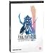 Final fantasy XII, le guide de jeu