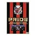 DVD PRIDE コンサドーレ札幌 激闘の軌跡: DVD 130分 2000年シーズンリーグ戦全40試合&全ゴールをハイライトで完全収録。岡田監督独占ロ ングインタビュー!、東芝時代からのコンサドーレ札幌ヒストリーも収録。2000シーズン全試合デー タ、コンサドーレ札幌...