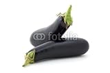 IMAGE OF Wallmonkeys Peel and Stick Wall Decals - Variety of Aubergine - 72