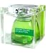 cover of United Colors Green FOR WOMEN by Benetton - 4.2 oz EDT Spray