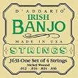 D'Addario Set Tenor Banjo Irish Nickel