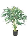 4' Areca Palm Tree Pre Potted