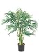 Kitchen & Housewares : 4' Areca Palm Tree Pre Potted
