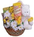 Diabetic Easter Basket