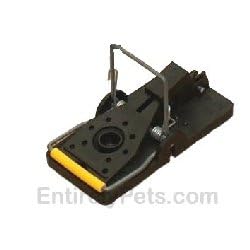Snap-E Mouse Trap