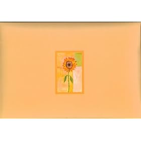 Pioneer Photo Album