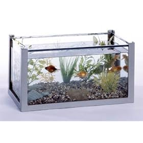 Hubbard Scientific 40121 Aquarium 20 Gal with cover- 24 InchX12 InchX16 Inch by Hubbard Scientific