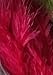 Creative Angler Marabou for Fly Tying/Tying Flies (Red)