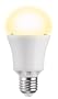LEDON LED A65 E27 10W WW