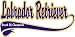 Labrador Retriever Breed of Champion T-Shirt