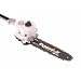 Ryobi Expand-It Apr 04 Pruner Attachment