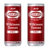 【2ケースセット】アサヒ ウィルキンソン タンサン 250ml缶×20本入×（2ケース）