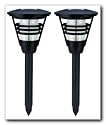 Brinkmann 822-0420-3 Emperor Solar Lights, 2-Pack