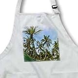 Palm trees and ocean San Blas Islands - Medium Length Apron With Pouch Pockets 22w X 24l
