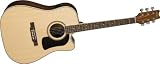 Washburn D10SRCEK Dreadnought Acoustic-Electric Guitar, Natural