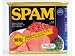 SPAM(スパム) 減塩 340g