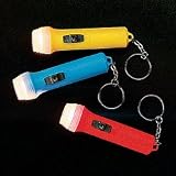 Plastic Mini Flashlight Key Chains (1 dz)