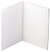 Orka Foldable Cutting Board, White
