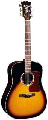 Sierra Sequoia SD65 Acoustic Guitar