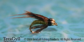 Bead Head Olive Caddis Puma
