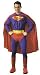 Search : Superman Adult Muscle Large Costume