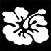 Hawaiian Hibiscus Flower Car Window Decal - Great Gift Idea