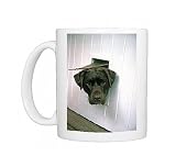 Photo Mugs of Chocolate Labrador from Rspca