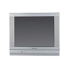 Panasonic TX 25 AS 10 D/M T[tau] 63,5 cm (25 Zoll) 4:3 Fernseher silber